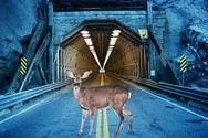 Allemand des tunnels