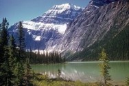 Traduction Anglais de l'environnement