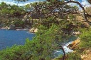 Dictionnaire Provençal